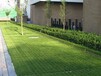 深圳植草格厂家批发HDPE植草格绿化排水板屋顶滤水板环保蓄排水板植草格