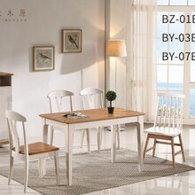 北欧风家具实木家具现代家具客厅家具欧式家具餐桌椅