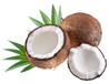 馬來西亞熱帶水果進口清關代理公司椰子進口清關需要單證