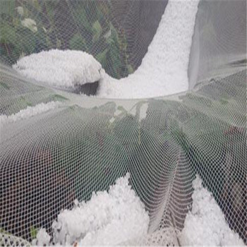 防爆网防御冰雹塑料网A果树防鸟冰雹砸不坏网A大棚果园白色防暴网好处