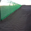 高立式防沙阻沙网栅栏，公路防沙网，铁路尼龙阻沙障