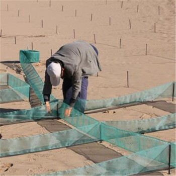 西藏阻沙网栅栏方格11m方格阻沙网沙障HDPE阻沙网沙障恒帆