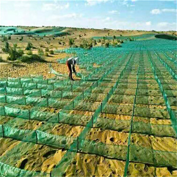 全新料防沙网HDPE防沙网阻沙障沙漠公路防风阻沙网