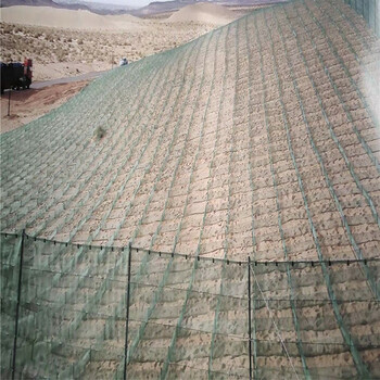 新疆高立式防沙网新型阻沙固沙网栅栏1.5米防风阻沙障恒帆品质