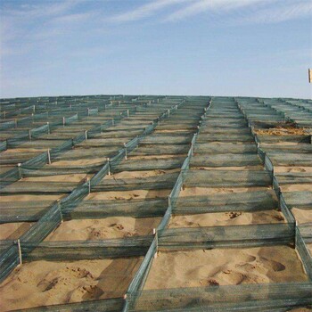 新型阻沙网材料HDPE上疏下密阻沙网恒帆厂家供应尼龙阻沙沙障