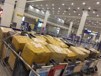 行李在上海浦东机场被扣了,有什么办法拿回图片4
