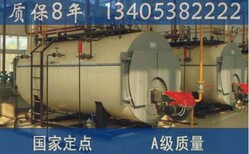 青海玉树州加工燃气取暖锅炉图片1