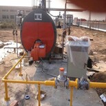 新疆伊犁燃油蒸汽锅炉销售图片2