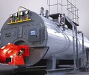 宿州市燃油锅炉规格型号免检蒸汽炉图片