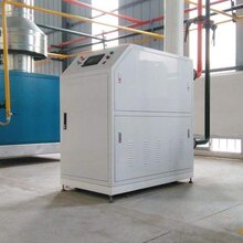 欢迎咨询:江西赣州定做燃气蒸汽锅炉图片