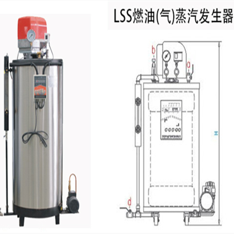 秦皇岛海港两吨天然气锅炉