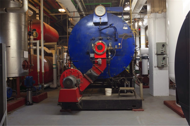 葫芦岛市6吨生物质蒸汽锅炉生产商