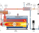 衡水生物质蒸汽锅炉生产加工厂家图片