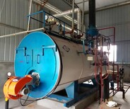 西安小型节能蒸汽锅炉推荐生产厂家图片3