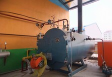 江苏省泰州市工业蒸汽锅炉生产安装制造图片5