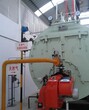 枣庄立式热水锅炉生产制造厂图片