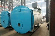 江苏省泰州市工业蒸汽锅炉生产安装制造图片3