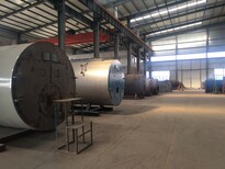 天津开发区低氮燃气锅炉厂家价格图片2