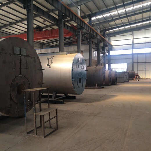 阿勒泰100公斤蒸汽锅炉厂