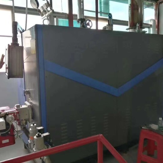 湖州100公斤蒸汽锅炉厂