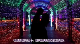 led灯光展道具出租灯光节租赁周期图片4