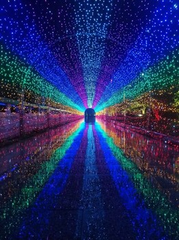 大型夢幻燈光展布展燈光節(jié)出售