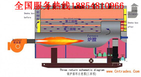 海西蒙古族藏族自治州燃油燃气锅炉厂家品牌新闻资讯网图片4