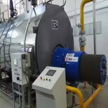推荐：新疆自治区燃气蒸汽锅炉生产单位图片1