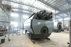 湖南长沙燃煤蒸汽锅炉生产厂家图片4