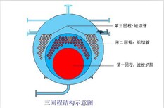 安康生物质蒸汽锅炉生产厂家图片2