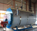 林芝工业蒸汽发生器组图图集