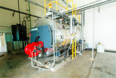 宁波生物质热水锅炉制造厂家图片4