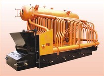 吉林通化0.3吨蒸汽发生器厂家价格图片2