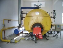 长治600公斤蒸汽发生器生产厂家图片2