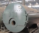天津天津周边1吨蒸汽环保锅炉参数规格型号咨询图片