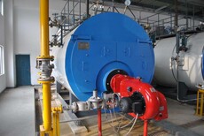 云南保山1吨蒸汽环保锅炉参数规格型号咨询图片3