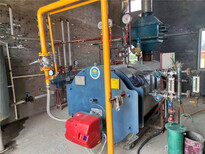 新疆和田10吨双筒燃气锅炉参数规格型号咨询图片5