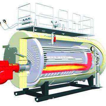 内蒙古呼伦贝尔300公斤蒸汽发生器生产厂家