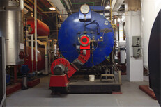 山东滨州20吨蒸汽锅炉参数规格型号咨询图片3