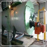 阿拉尔生物质蒸汽锅炉生产厂图片1