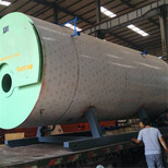 金昌0.3吨蒸汽发生器-生物质蒸汽锅炉厂图片2