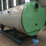 济南300公斤蒸汽锅炉-生物质锅炉厂图片0
