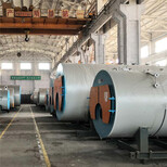 博尔塔拉15吨燃气蒸汽锅炉-天然气锅炉厂图片4
