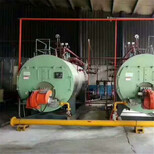 济南300公斤蒸汽锅炉-生物质锅炉厂图片4