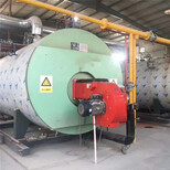 金昌0.3吨蒸汽发生器-生物质蒸汽锅炉厂图片1