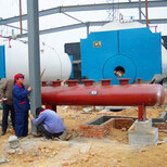 新疆库尔勒生物质锅炉供应商图片2