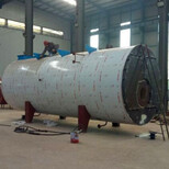 淮安12吨燃气蒸汽锅炉-燃煤生物质锅炉厂图片2