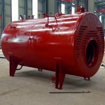 阿里0.7吨蒸汽发生器-生物质锅炉厂