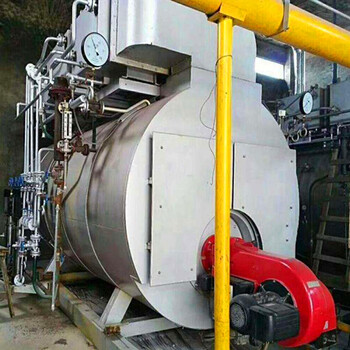 衡水12吨燃气蒸汽锅炉-生物质锅炉厂