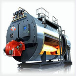 清徐0.3吨蒸汽发生器-蒸汽发生器厂图片2